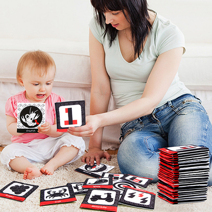 BusyBaby - Baby Cloth Book Soft Flashcards Set