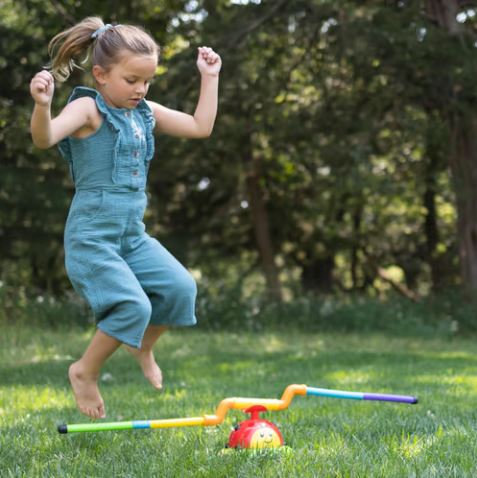 SpinMaster -Fun Musical Ladybug Toy